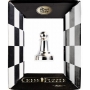 CAST PUZZLE CHESS PAWN