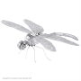 Bug - Dragonfly