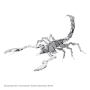 Bug - Scorpion