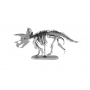 Dinosaur Skeleton - Triceratops