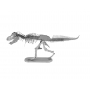 Dinosaur Skeleton - Tyrannosaurus Rex