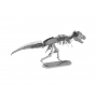Dinosaur Skeleton - Tyrannosaurus Rex