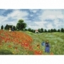 Poppy Fields (après Monet)