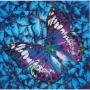 Flutter by Mauve