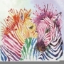 Rainbow Zebras