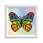 Rainbow butterfly con Marco - Blanco