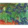 Irises ( après Van Gogh)